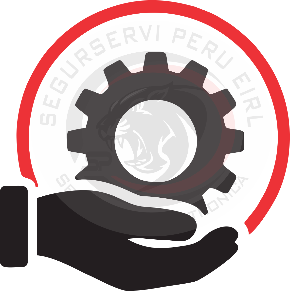 soporte tecnico segurservi peru eirl
